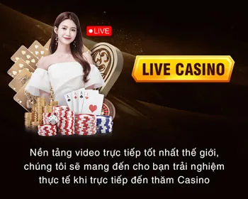 Giấy phép hoạt động của Gà Cam 67